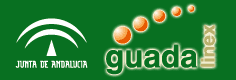 Guadalinex andaluz