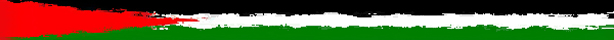 bandera palestina